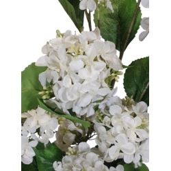 HORTENSJA KRZEW 8 KWIATÓW 75CM VIP6458 WHITE