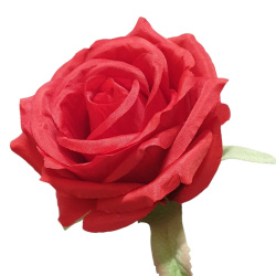 RÓŻA GŁOWA 10CM LY003 38L RED