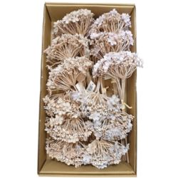 PĘCZEK SEDUM 33CM / 4970 MIX2 ATUMN BRN GRY VIOL