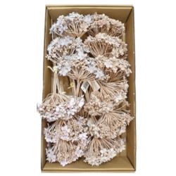 PĘCZEK SEDUM 33CM / 4970 MIX2 ATUMN BRN GRY VIOL