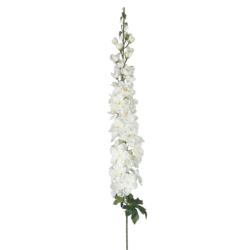 OSTRÓŻKA DELPHINIUM 120CM EJ035 2 CREAM WHITE