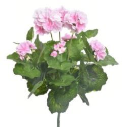 PELARGONIA X7 40CM SUN534 LT. PINK