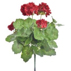 PELARGONIA X7 40CM SUN534 RUBIN