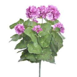 PELARGONIA X7 40CM SUN534 VIOLET LT VIOLET