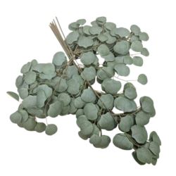 EUKALIPTUS GAŁĄZKA 70CM 56 LIŚCI POWDER GREEN