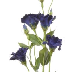 Eustoma gałązka 83cm sun345 navy blue