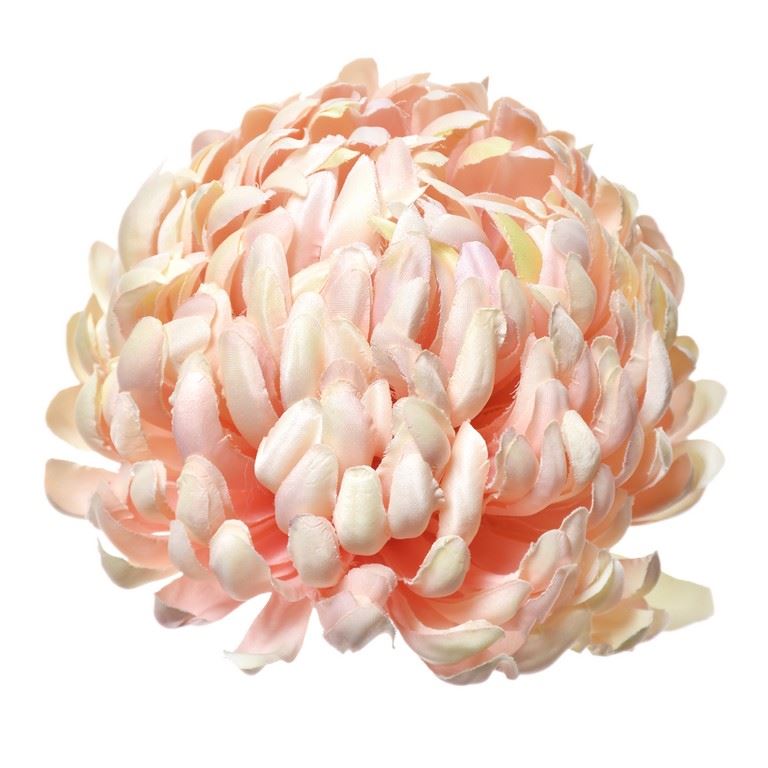 Chryzantema głowa 15cm ART037 apricot