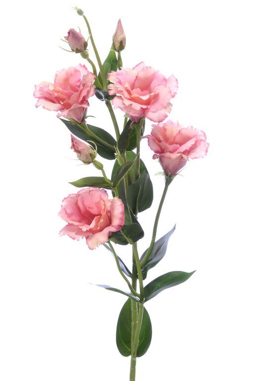 Eustoma gałązka 83cm sun345 dirty pink