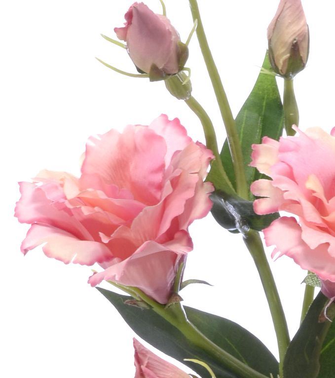 Eustoma gałązka 83cm sun345 dirty pink