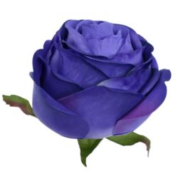 RÓŻA POPPY GŁOWA 9CM SUN564 ULTRA VIOLET