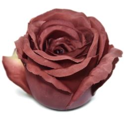 RÓŻA GŁOWA 8CM SUN388 MILK CHOCOLATE