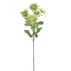 GAŁĄZKA ASTER 70CM SUN662 GREEN