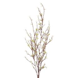 SALIX ARGYRACEA GAŁĄZKA 90CM CV35937 WHITE CREAM