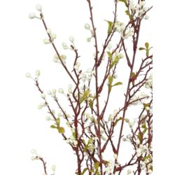 SALIX ARGYRACEA GAŁĄZKA 90CM CV35937 WHITE CREAM