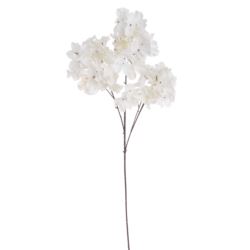 HORTENSJA JESIENNA GAŁĄZKA 84CM OLD WHITE CREAM