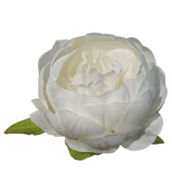 PEONIA GŁÓWKA 8CM CREAM WHITE