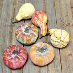 DYNIE MIX RODZAJÓW 6SZT W WORKU MIX KOLOR