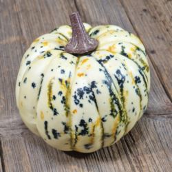 DYNIA SZTUCZNA 11CM X 11CM LT YELLOW GREEN