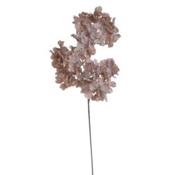 HORTENSJA JESIENNA GAŁĄZKA 84CM DIRTY MAUVE BROWN