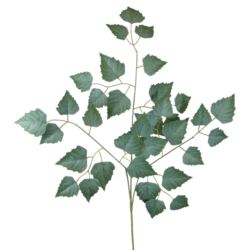 BRZOZA GAŁĄZKA LIŚĆ 60CM POWDER GREEN