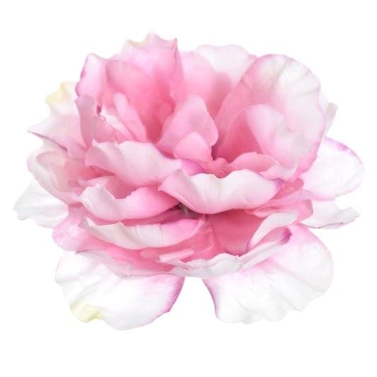 PEONIA GŁOWA 14CM LIU517 PINK
