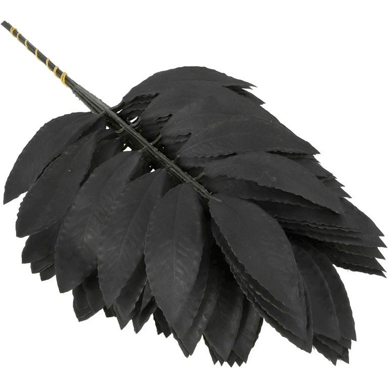 LIŚĆ LAUROWY 11 LISTKÓW 47CM / 0746MP BLACK