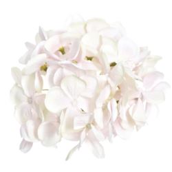 HORTENSJA GŁOWA 17CM KLM1201 POWDER PINK