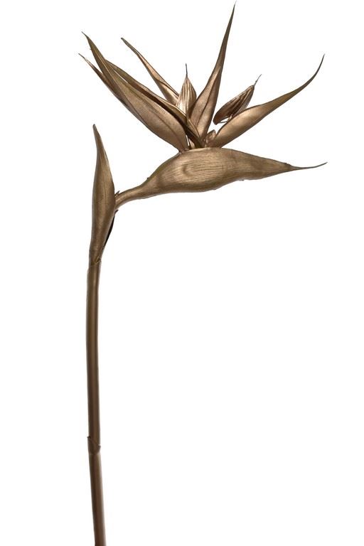 STRELICJA GUMA 96CM XANA001 GOLD