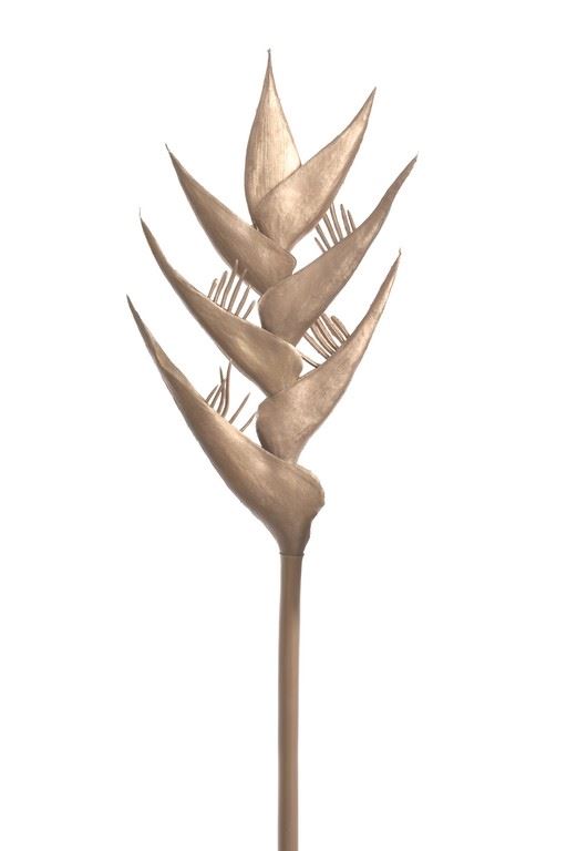HELIKONIA POJEDYNCZA – GUMA XANA005 GOLD
