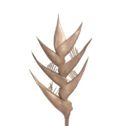 HELIKONIA POJEDYNCZA – GUMA XANA005 GOLD