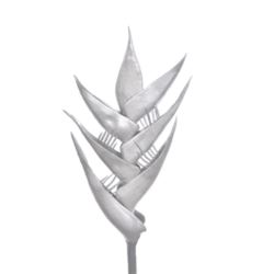 HELIKONIA POJEDYNCZA – GUMA XANA005 SILVER