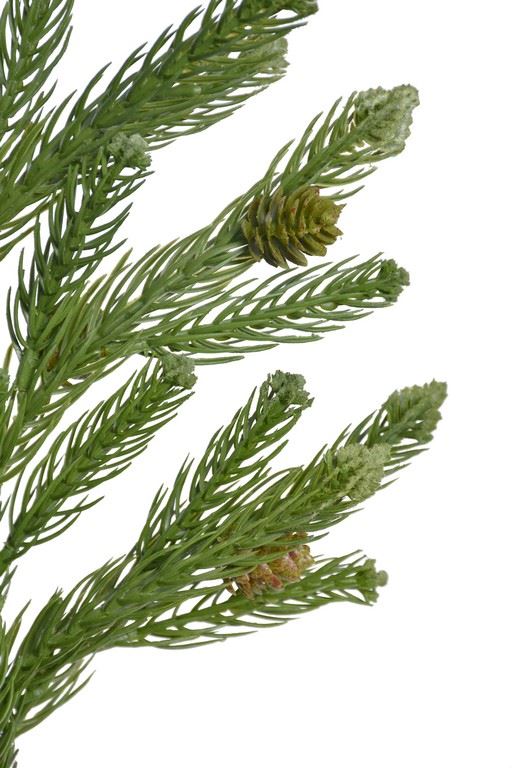 ŚWIERK Z SZYSZKAMI PĘCZEK 51CM XYD036 RT GREEN