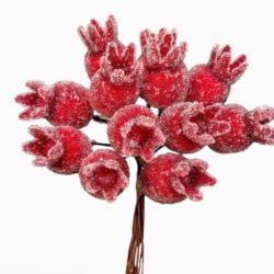 DZIKA RÓŻA OSZRONIONA WIĄZAKA 12CM 12SZT RED FROST