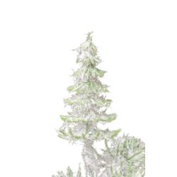 CHOINKA MINI 5CM 7x PIK GREEN SNOW GLITTER