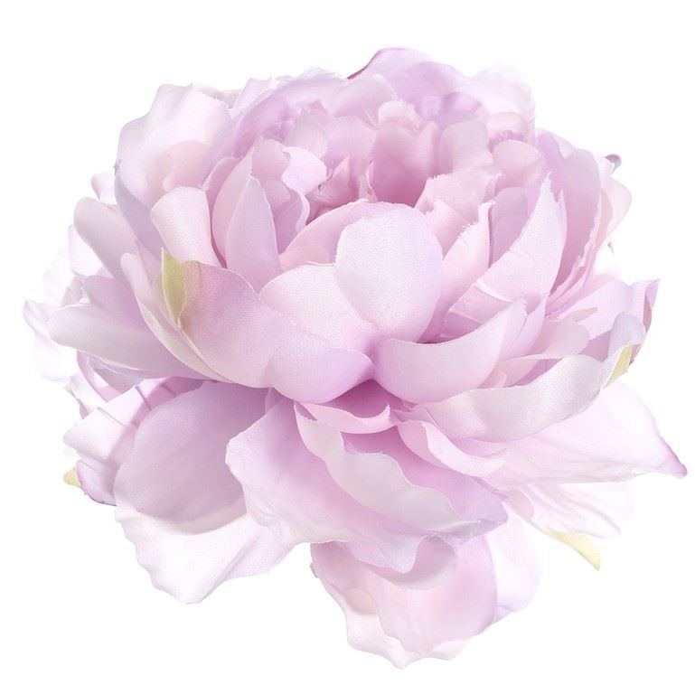 PEONIA GŁOWA 15CM SUN406 POWDER VIOLET