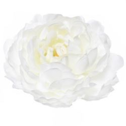 PEONIA GŁOWA 15CM SUN406 LT GREEN