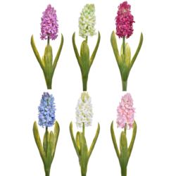 HIACYNT Z LIŚCIEM 40CM SUN561 MIX3 6 KOLORÓW
