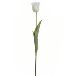 TULIPAN POJEDYNCZY 50CM ART26 WHITE