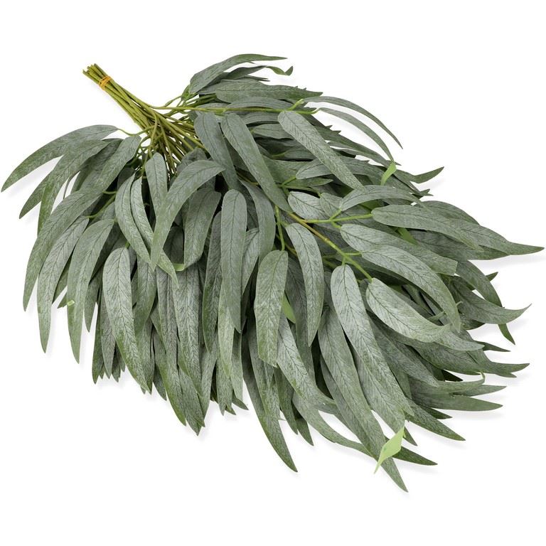 GAŁĄZKA RUSKUS CF39-001 POWDER GREEN