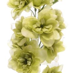 OSTRÓŻKA POJ. 72CM SUN498 LT GREEN