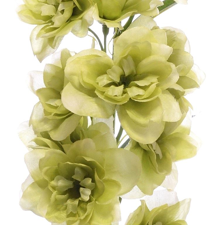 OSTRÓŻKA POJ. 72CM SUN498 LT GREEN