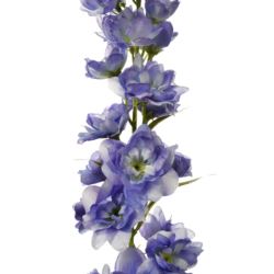 OSTRÓŻKA POJ. 72CM SUN498 BLUE/VIOLET