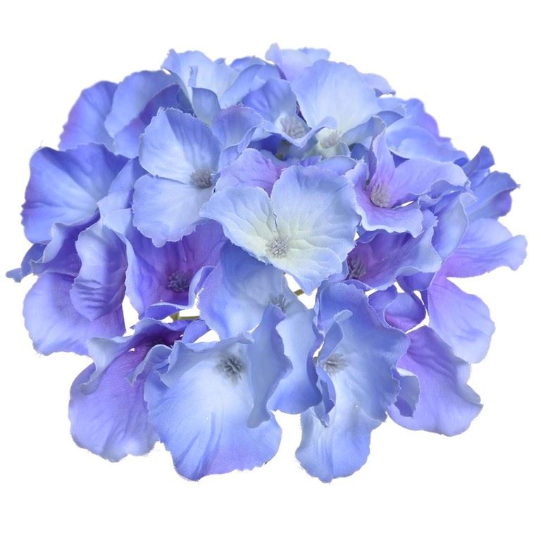 HORTENSJA GŁÓWKA 15CM SUN644 BLUE VIOLET