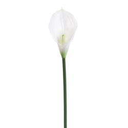 CALLA GUMA 72 CM  ANA1013 6 KOLORÓW CLEAR WHITE