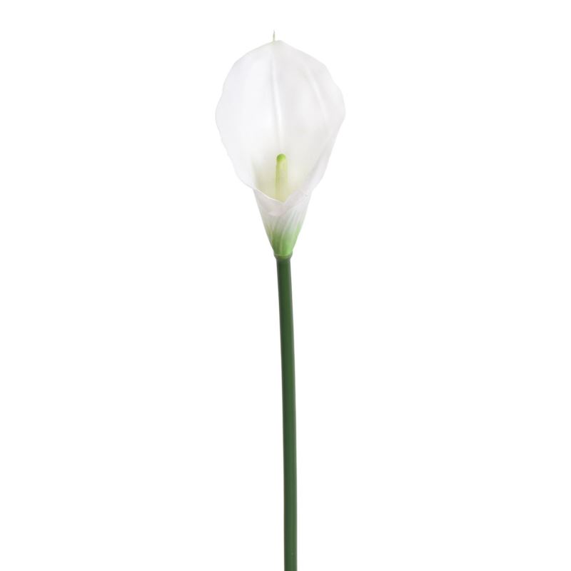 CALLA GUMA 72 CM  ANA1013 6 KOLORÓW CLEAR WHITE
