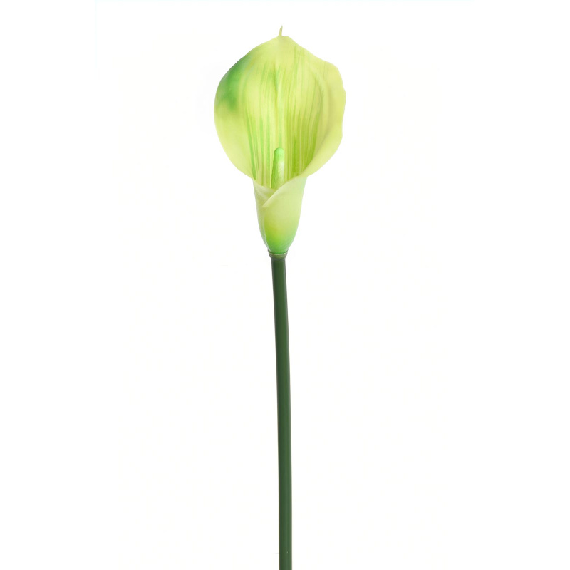 CALLA GUMA 72 CM  ANA1013 6 KOLORÓW  MIX4