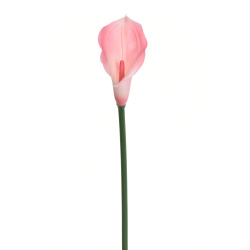 CALLA GUMA 72 CM  ANA1013 6 KOLORÓW  MIX4