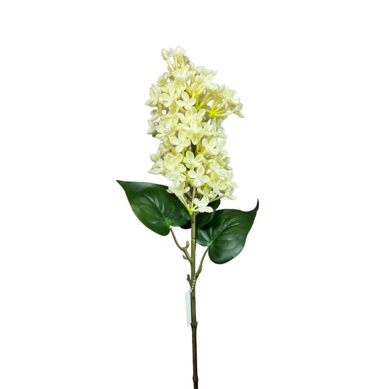 BEZ GAŁĄZKA GUMA 56cm CREAM