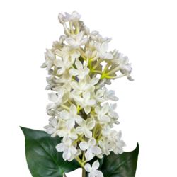 BEZ GAŁĄZKA GUMA 56cm CREAM