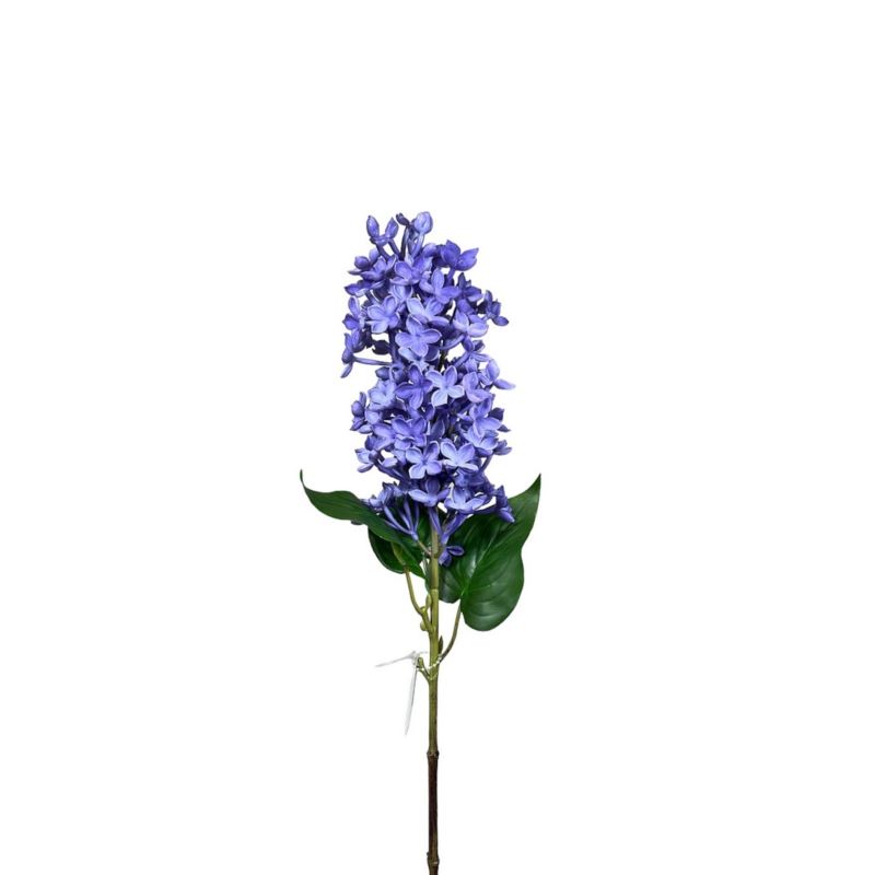 BEZ GAŁĄZKA GUMA 56cm BLUE VIOLET